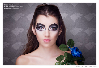 Illustration for article titled Outstanding Game of Thrones Make-Up Inspired By Each House